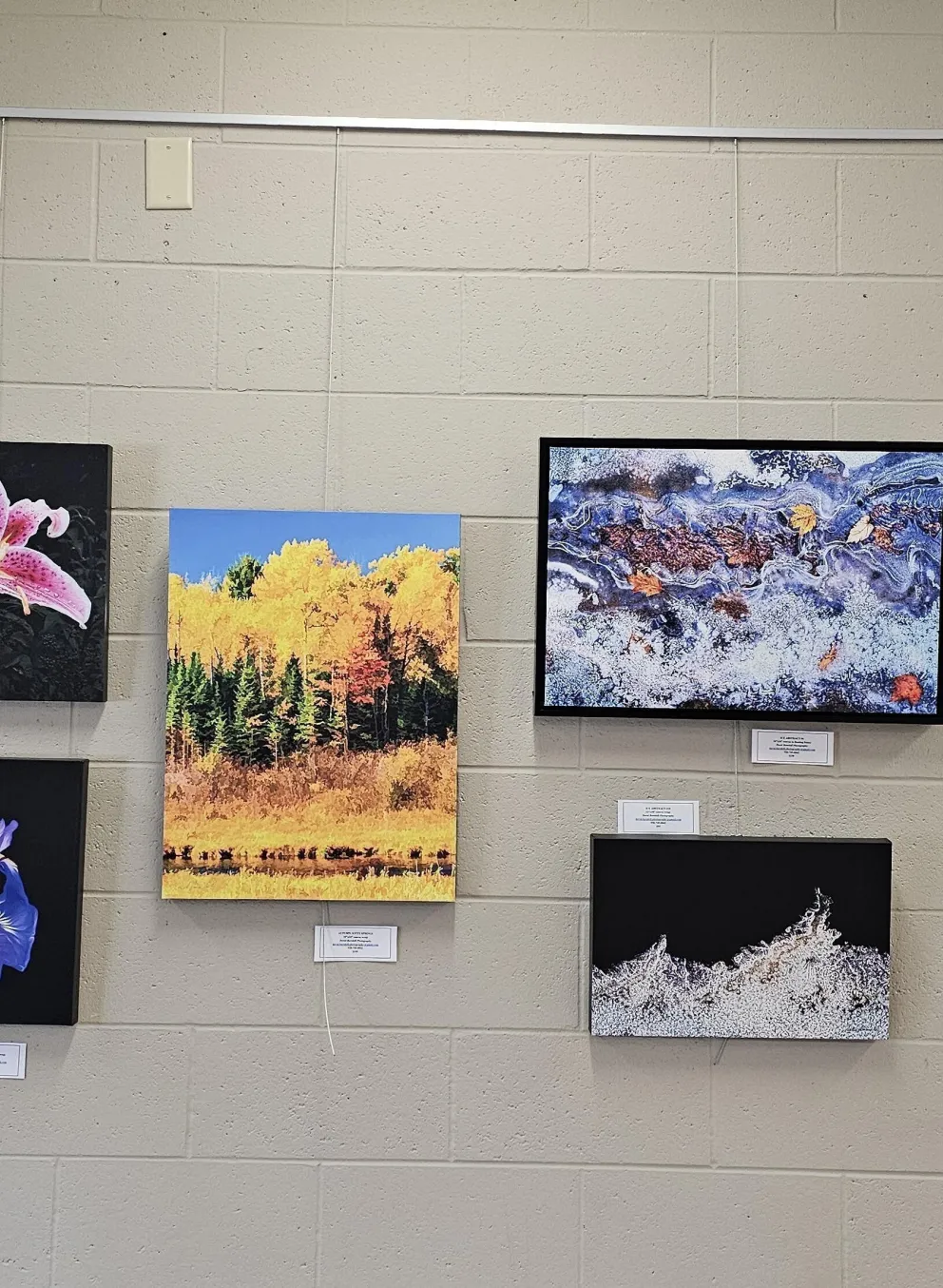 A wall display features various framed artworks:  a misty landscape with animals, close-ups of lilies and irises, an autumnal forest scene, abstract pieces, and a mosaic of a tree and moon.