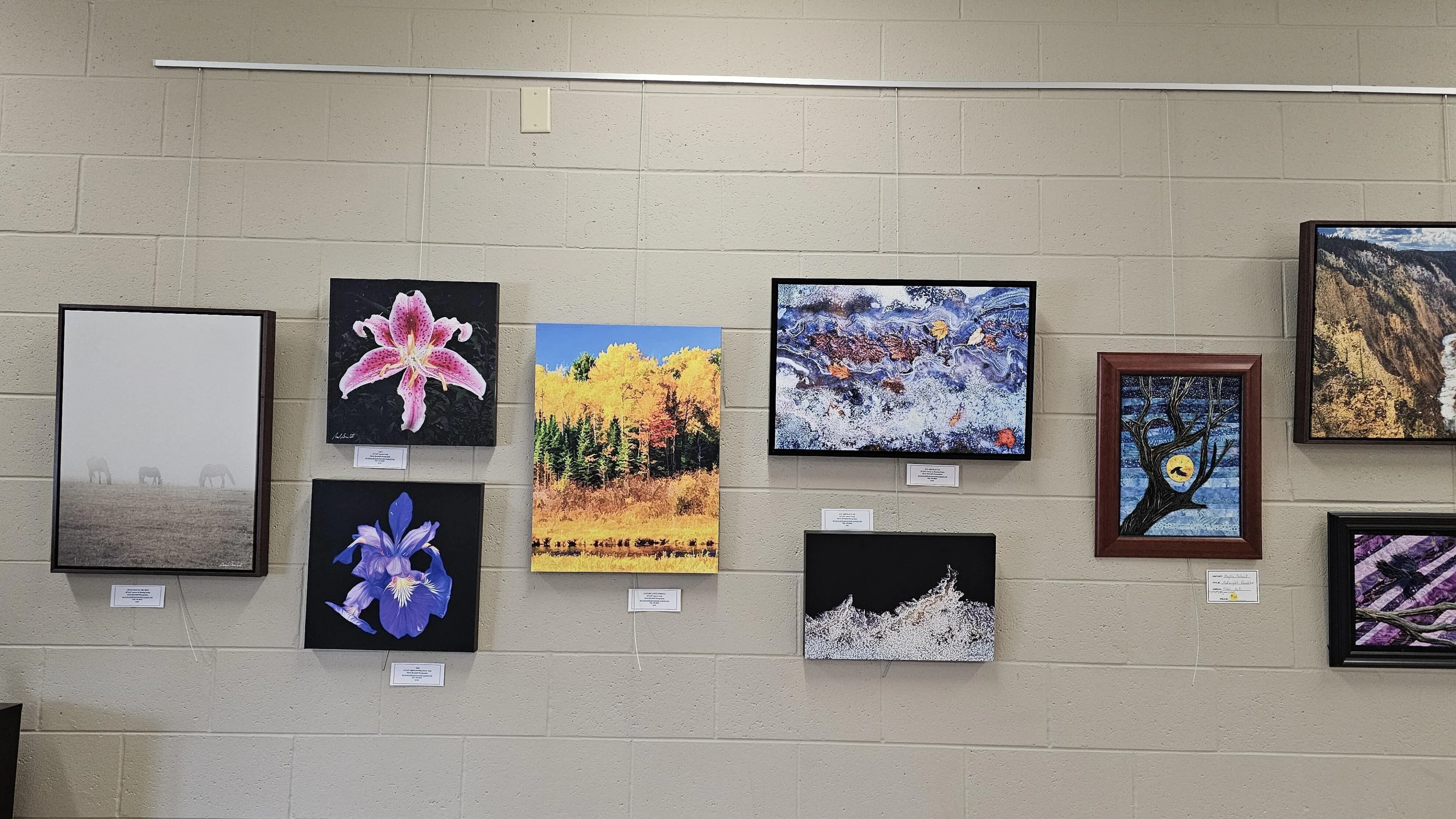 A wall display features various framed artworks:  a misty landscape with animals, close-ups of lilies and irises, an autumnal forest scene, abstract pieces, and a mosaic of a tree and moon.