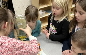 Kids conduct a science experiment, pouring colored liquid into a tray.  They watch intently as the colors mix.
