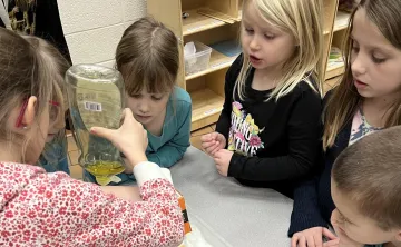 Kids conduct a science experiment, pouring colored liquid into a tray.  They watch intently as the colors mix.
