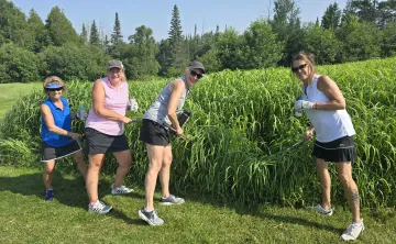 Golf Weeds